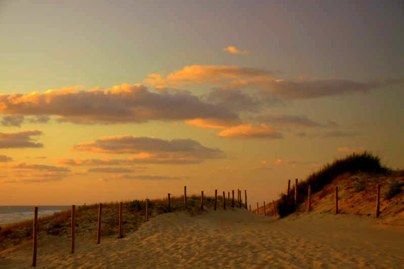 Dunas de Las Landas