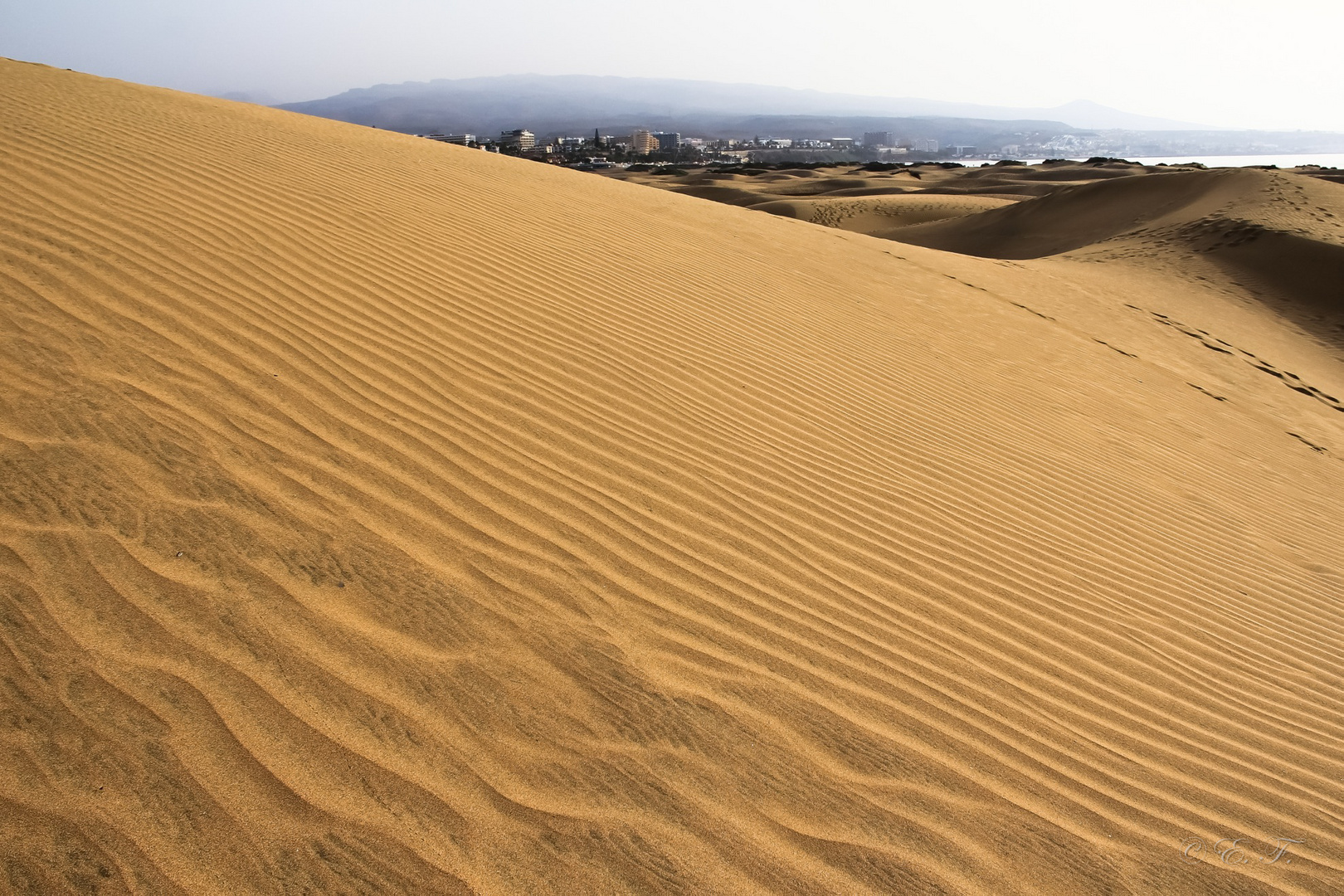 Dunas de Maspalomas 2