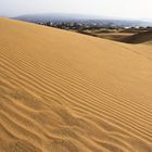 Dunas de Maspalomas 2