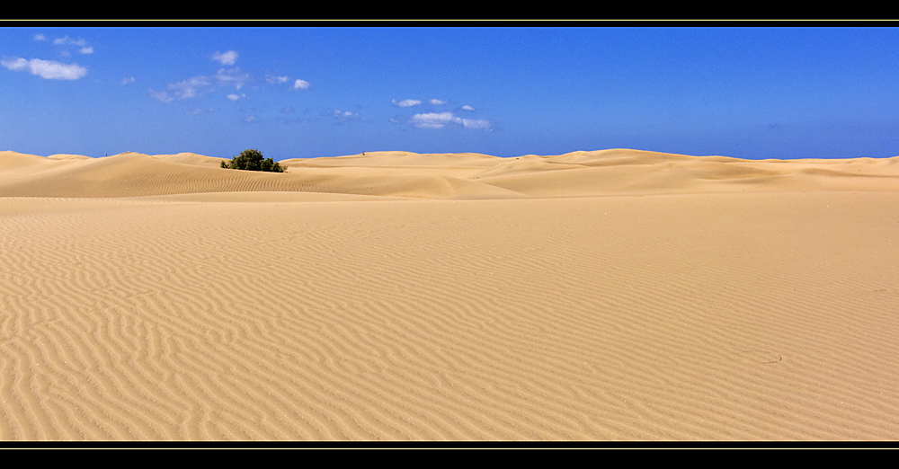 Dunas de Maspalomas