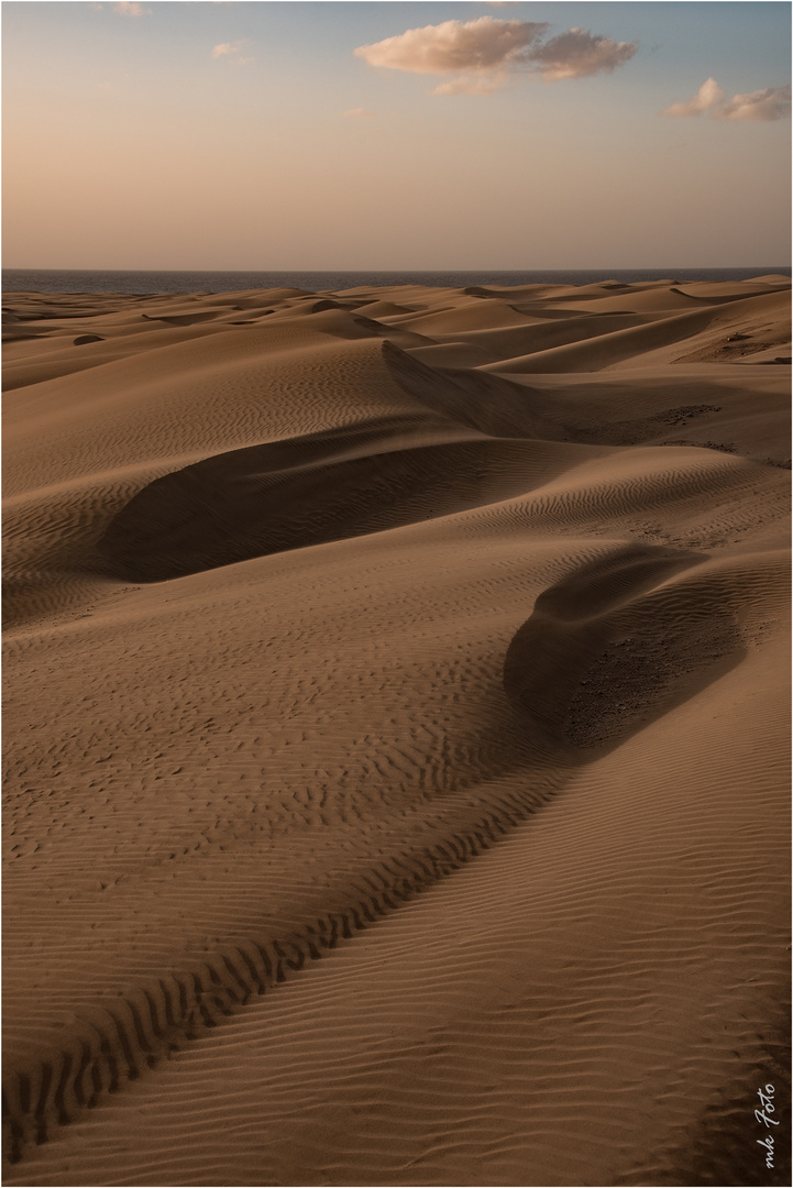 Dunas de Maspalomas