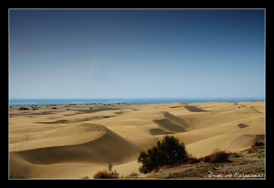 Dunas de Maspalomas