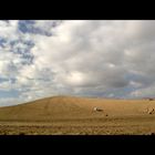 Dunas de Maspalomas