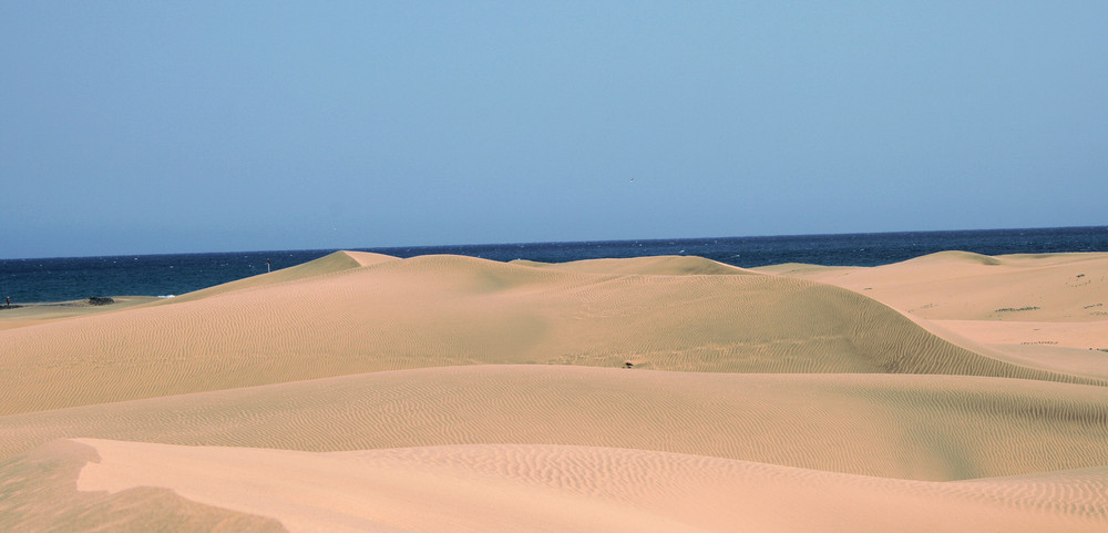 Dunas de Maspalomas