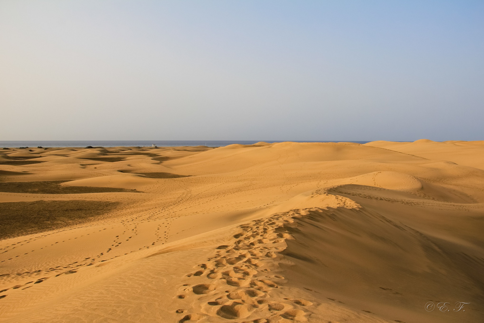 Dunas de Maspalomas