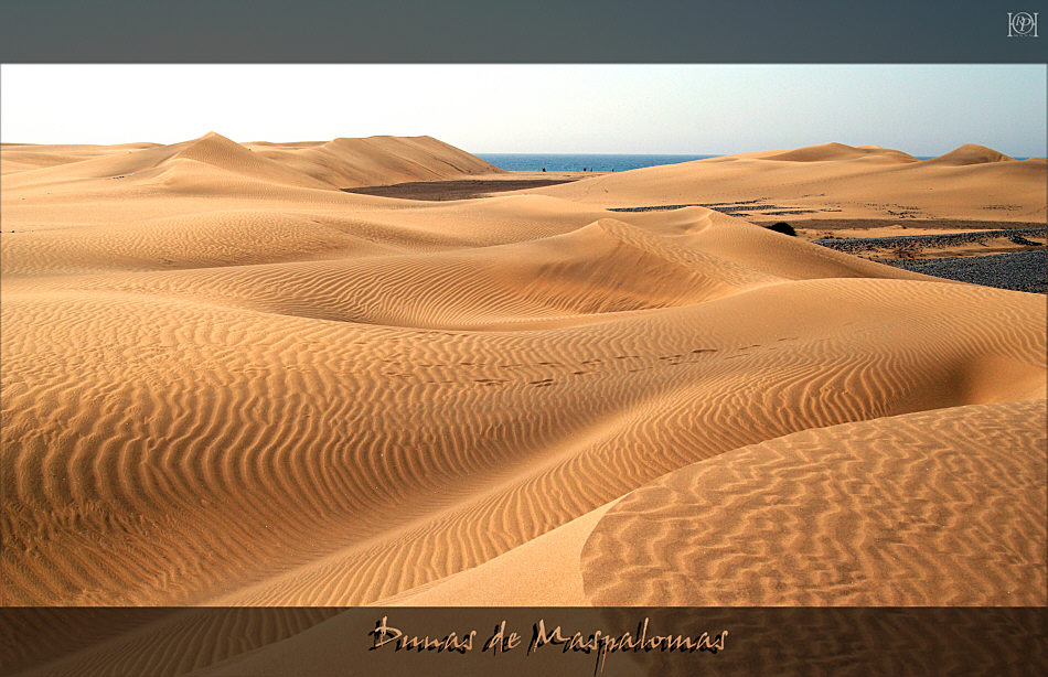 >> Dunas de Maspalomas <<