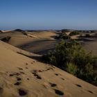 Dunas de Maspalomas