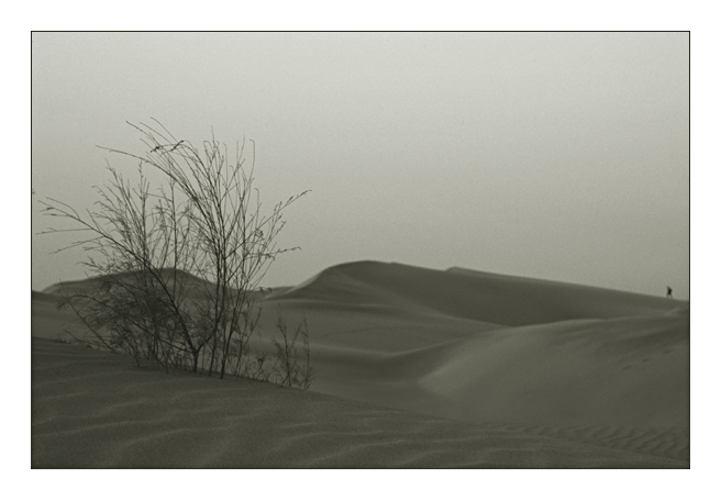 Dunas de Maspalomas