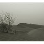 Dunas de Maspalomas