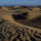 Dunas de Maspalomas