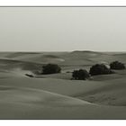 Dunas de Maspalomas