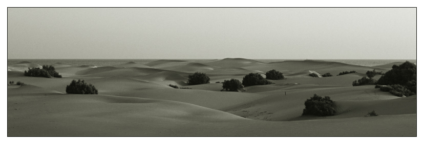 Dunas de Maspalomas