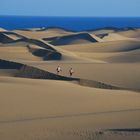 dunas de maspalomas Gran Canaria