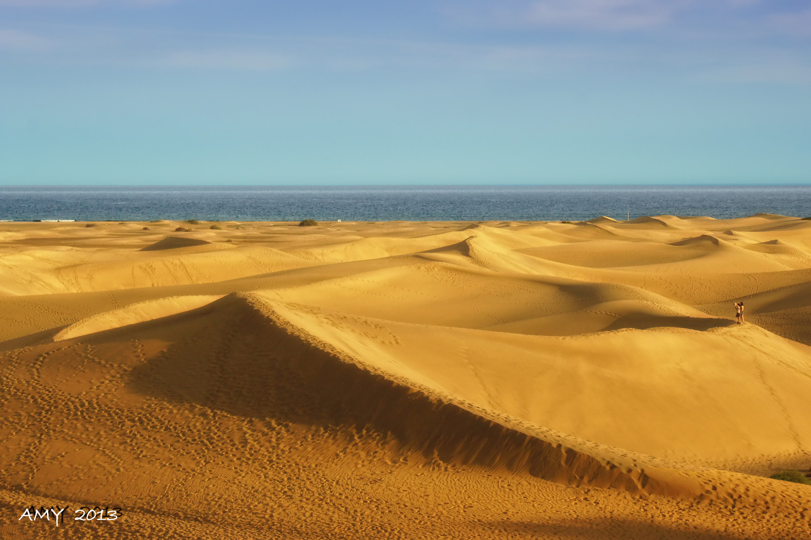 DUNAS DE MASPALOMAS (GRAN CANARIA). Dedicada a TESSA P.