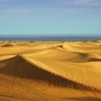 DUNAS DE MASPALOMAS (GRAN CANARIA). Dedicada a TESSA P.