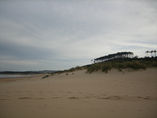 dunas de Somo, Cantabria