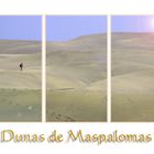 Dunas du Maspalomas