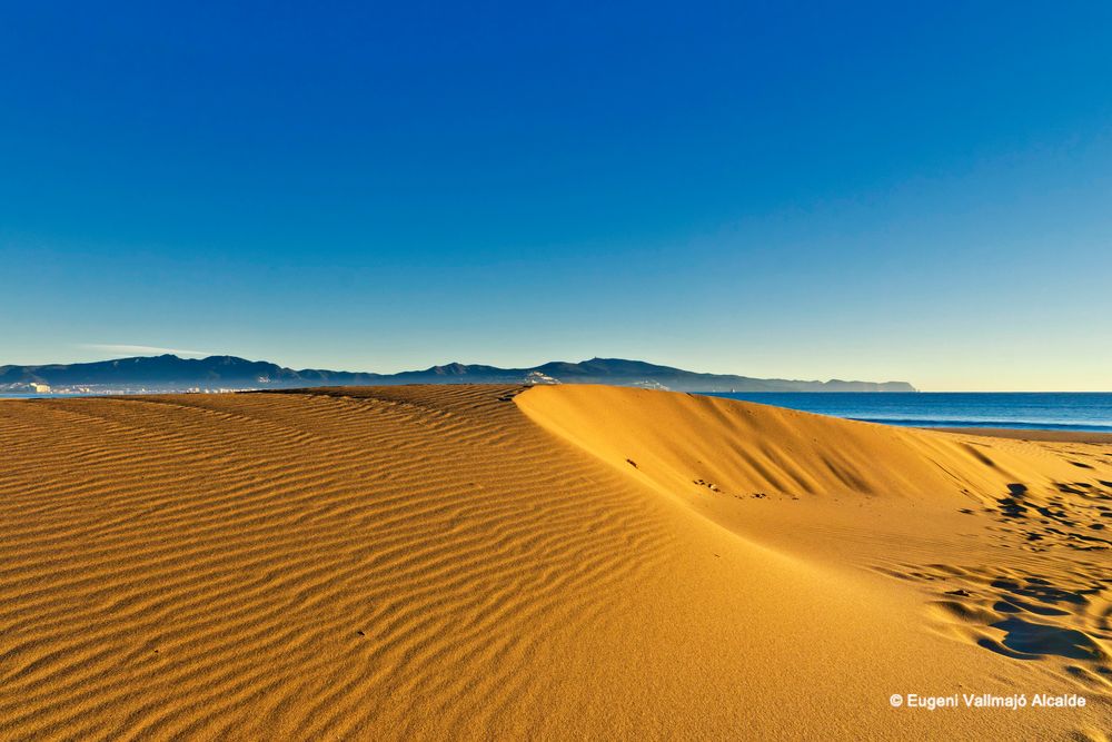 Dunas