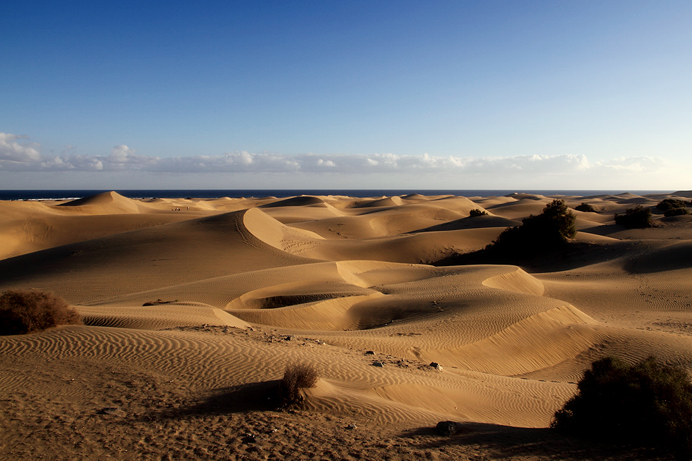 Dunas Maspalomas