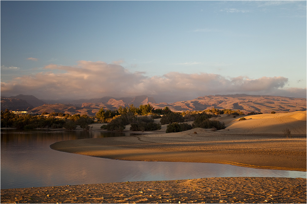 :: ~ DUNAS MASPALOMAS ~ ::