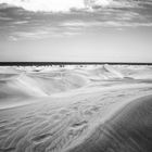 dunas maspalomas