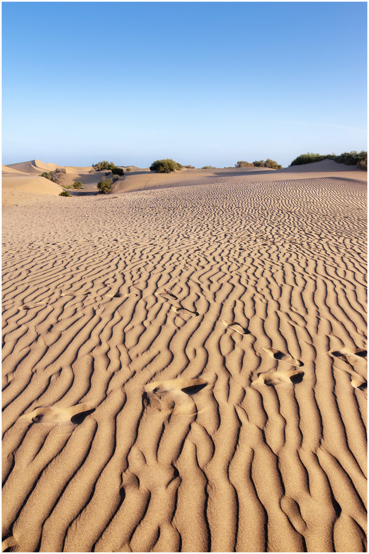 Dunas Maspalomas