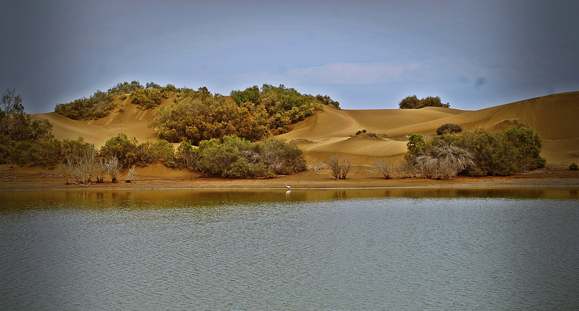 DUNAS MASPALOMAS