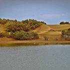 DUNAS MASPALOMAS