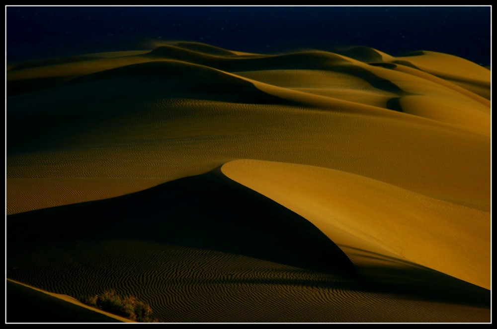 Dunas Maspalomas II