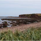 Dunbar-Beach