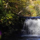 Dunbar Falls