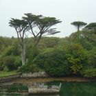 Dunboy Castle