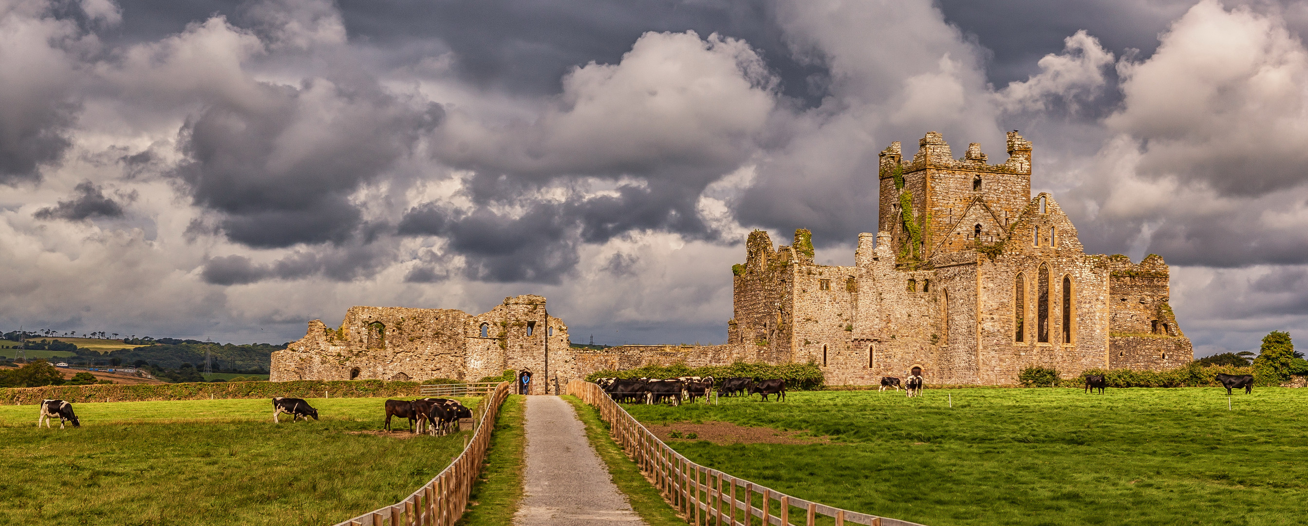 Dunbrody Abbey