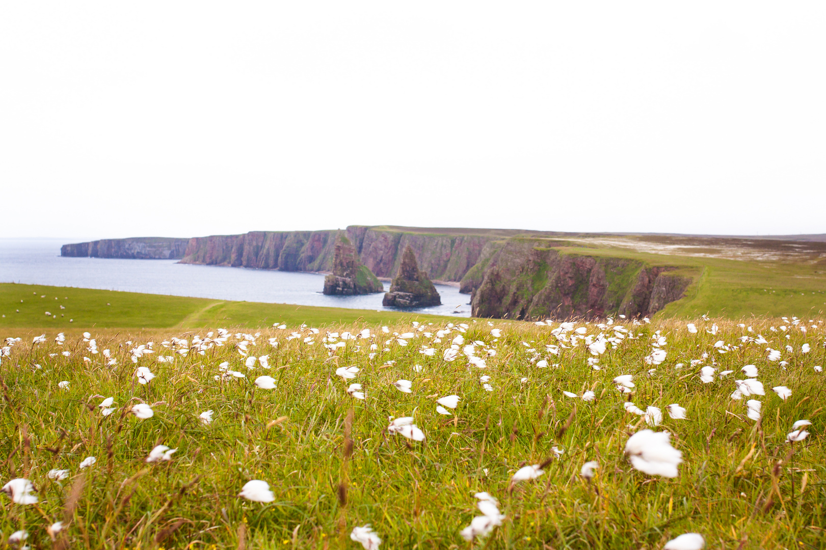 Duncansby Head 