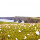 Duncansby Head 