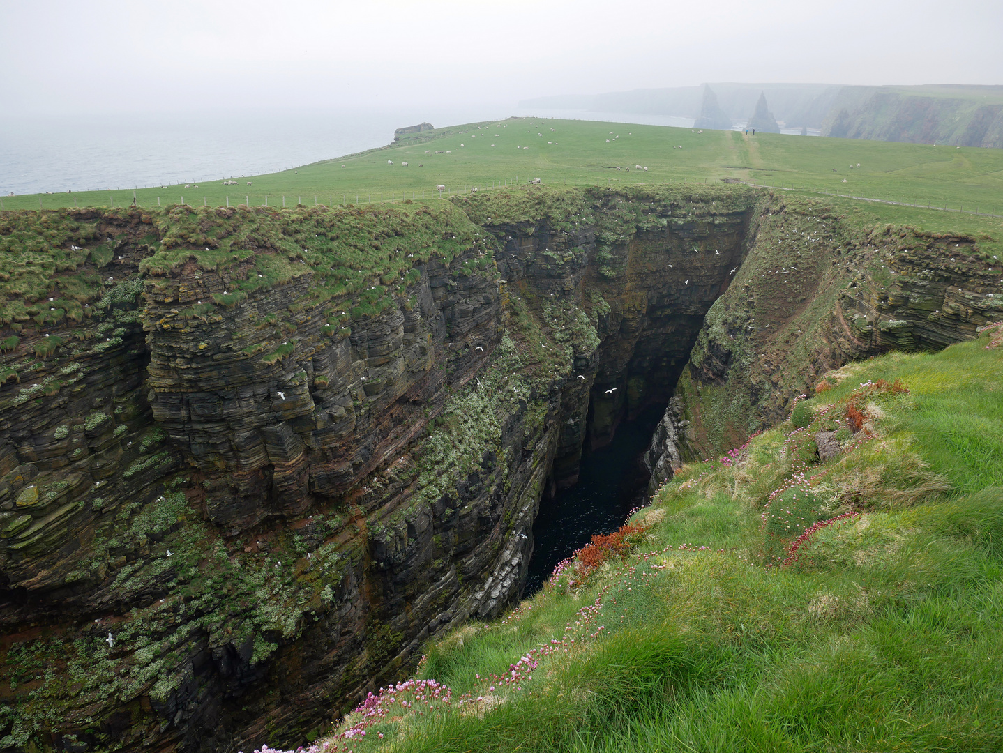 Duncansby Head II