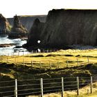 Duncansby Stacks 