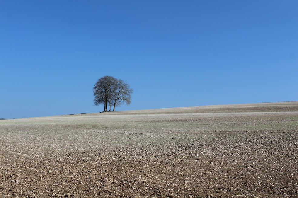 Duncton, Sussex