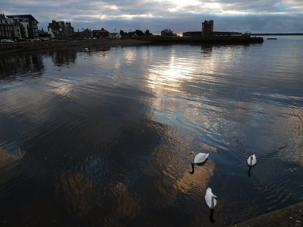 Dundee am morgen