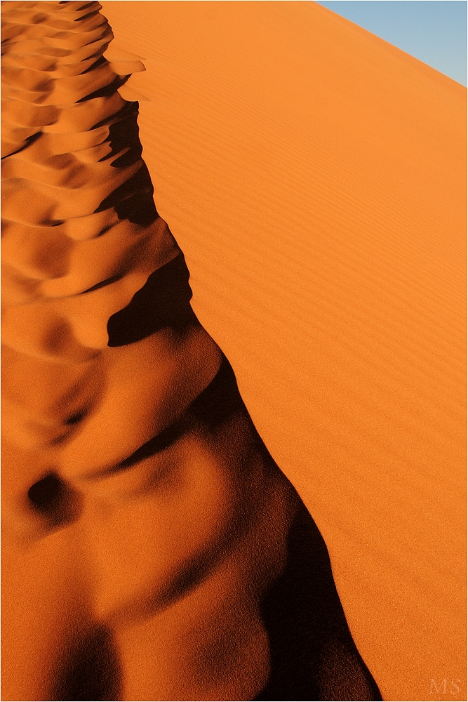 Dune