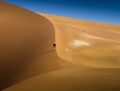 dune.......................