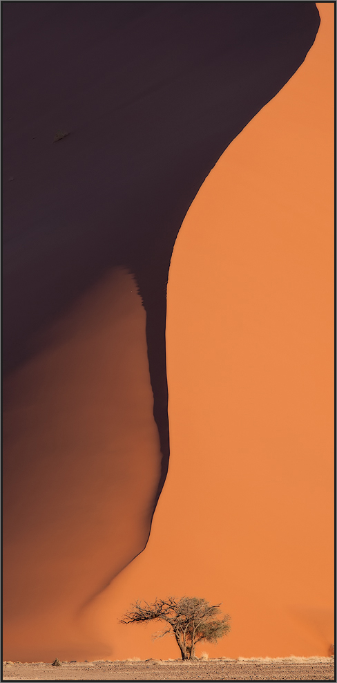 Dune 38