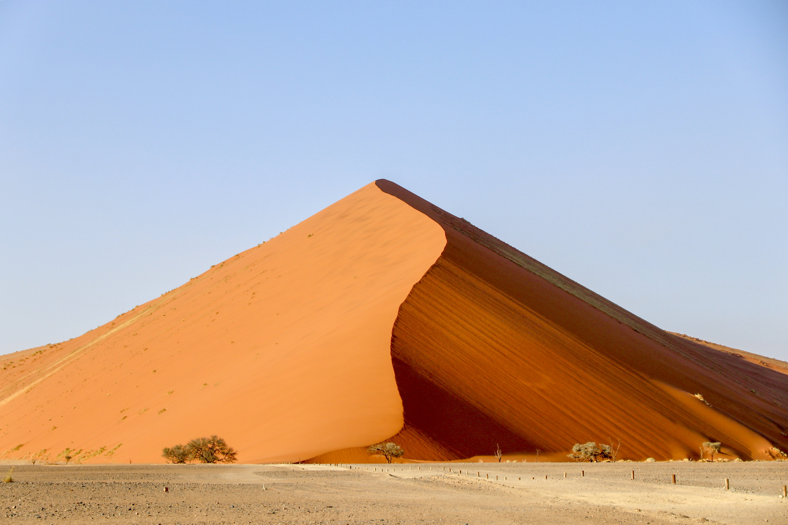 Dune 40 Sossusvlei