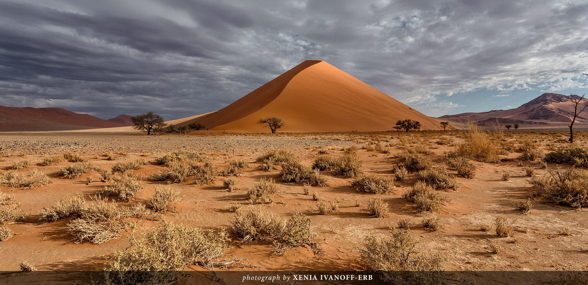 Dune 40. Tsauchab Valley, Namibia