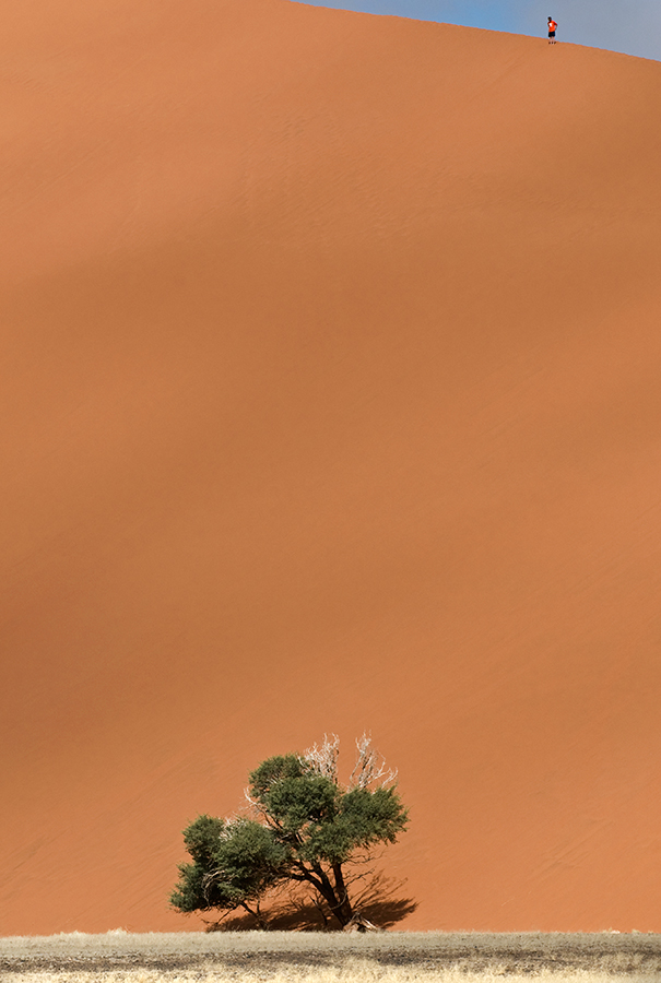 dune