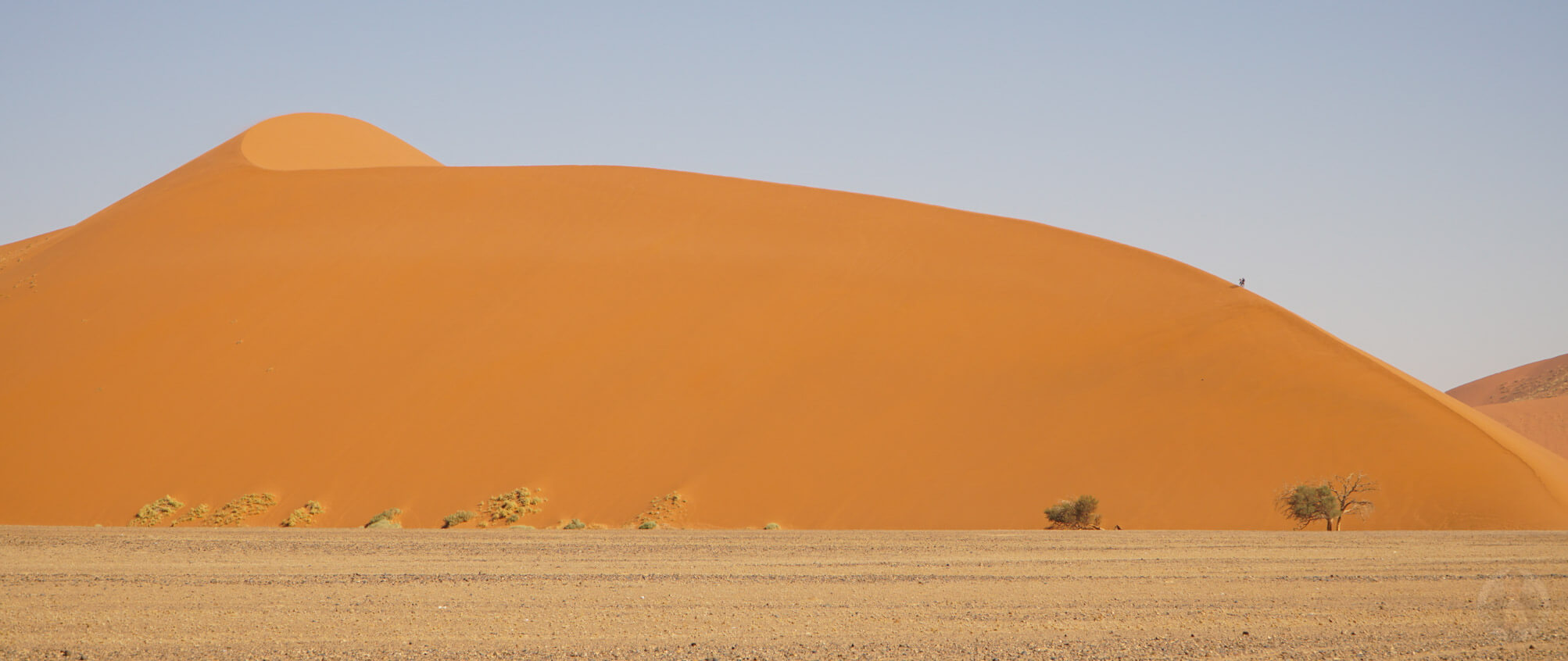 Dune 45 Düne in der Sossusvlei Wüste in Namibia