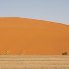 Dune 45 Düne in der Sossusvlei Wüste in Namibia