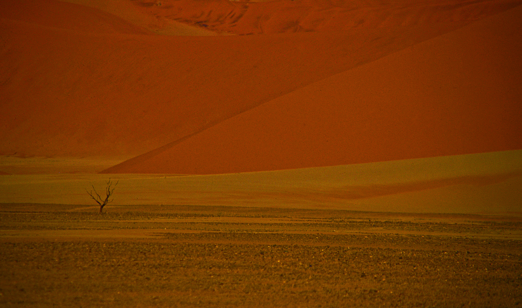 Dune 45 Foto & Bild africa, southern africa, namibia Bilder auf