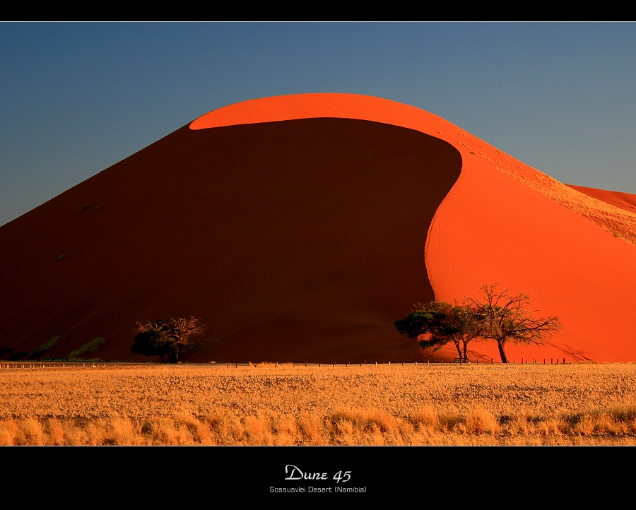 Dune 45 Sossusvlei Desert Namibia Photo Image Africa Southern Africa Namibia Images At Photo Community Dune 45 Sossusvlei Desert Namibia Photo Image Africa Southern Africa Namibia Images At Photo Community