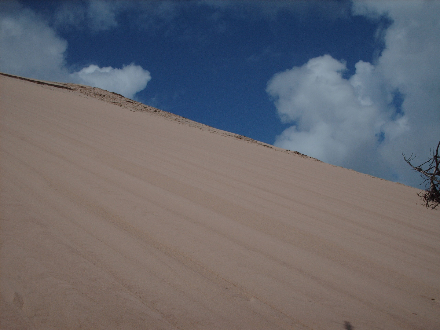 dune